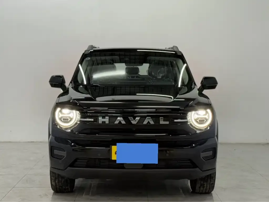 Haval H7 (Big Dog Plus) New Energy — фото 5