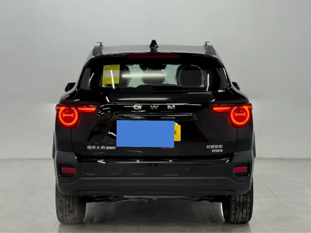 Haval H7 (Big Dog Plus) New Energy — фото 8