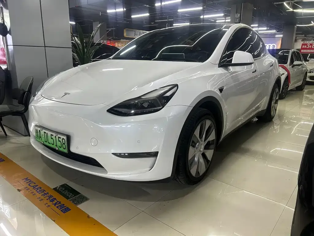 Tesla Model Y 2021 из CN, фото 1
