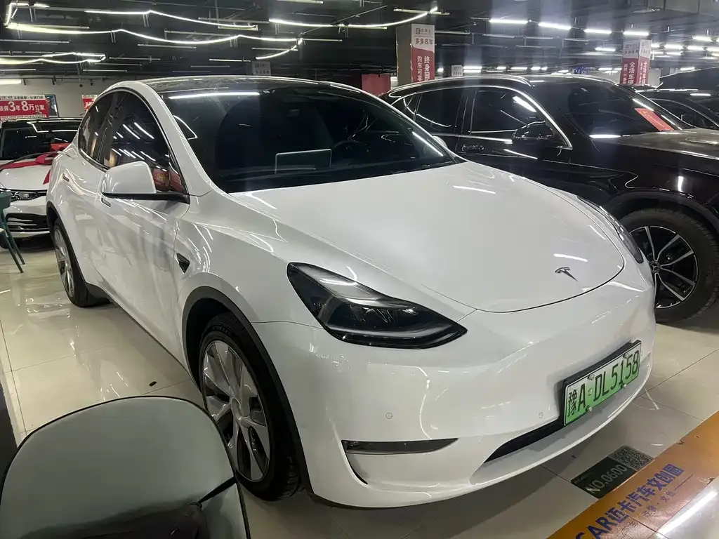 Tesla Model Y 2021 из CN, фото 3