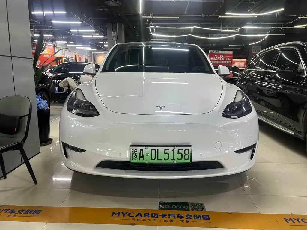 Tesla Model Y 2021 из CN, фото 2