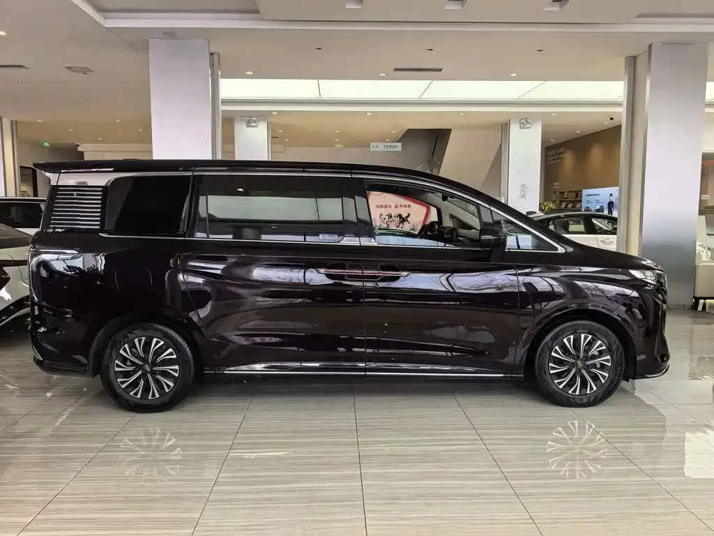Hongqi HQ9 PHEV 2024 из CN, фото 8