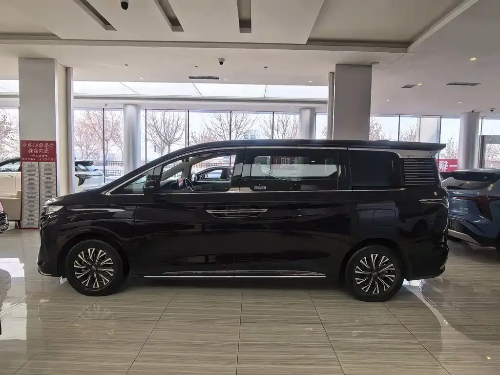 Hongqi HQ9 PHEV 2024 из CN, фото 2