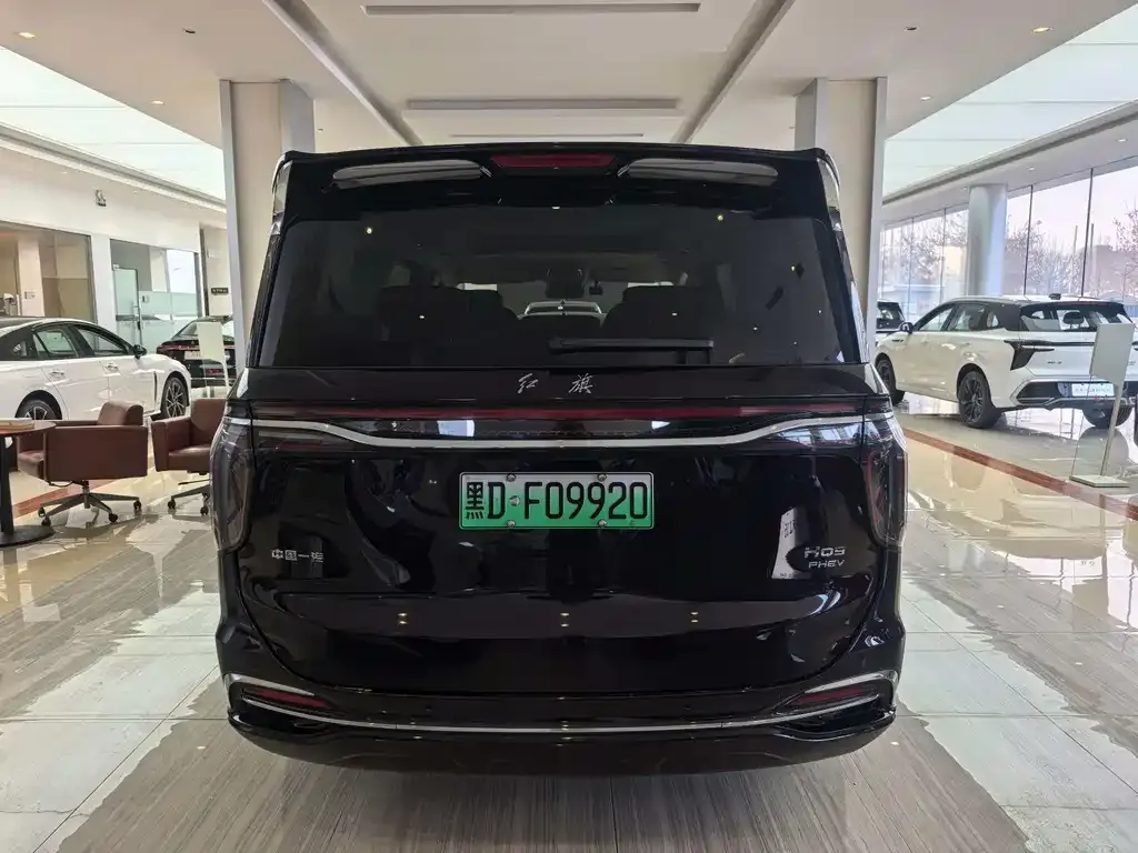 Hongqi HQ9 PHEV 2024 из CN, фото 3