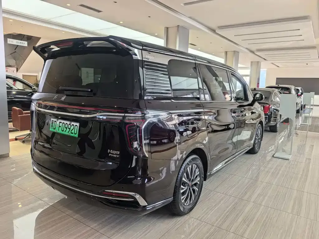 Hongqi HQ9 PHEV 2024 из CN, фото 10