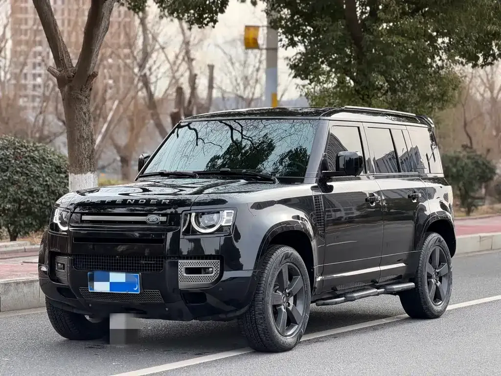 Land Rover Defender 2023 из CN, фото 8