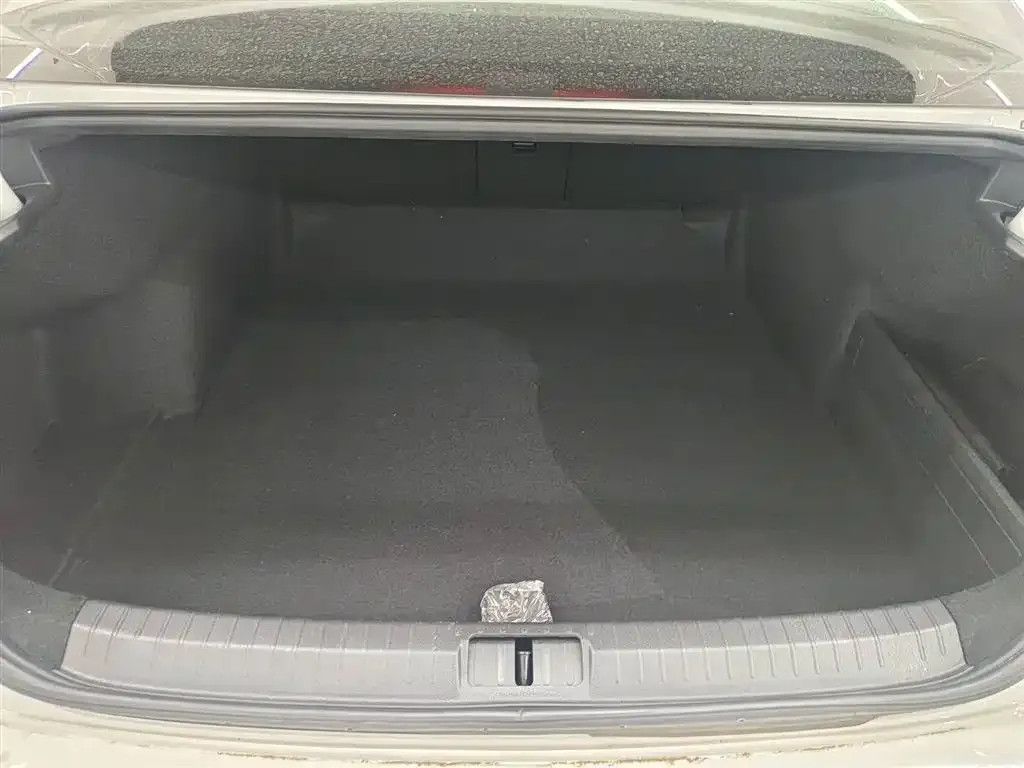 Volkswagen Magotan 2021 из CN, фото 4
