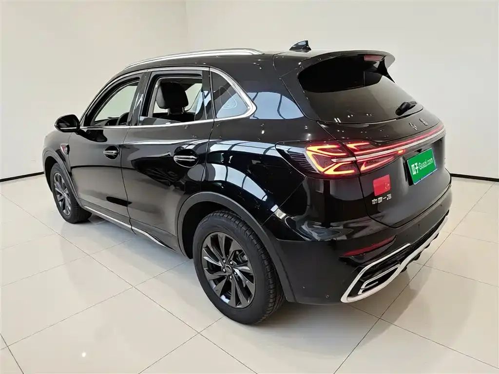 Hongqi HS5 2025 из CN, фото 10