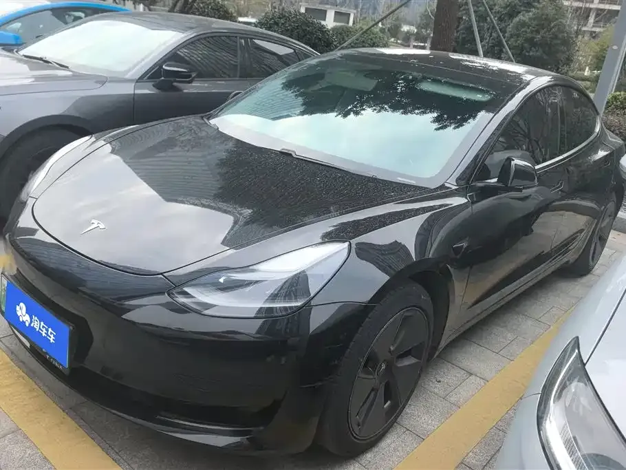 Tesla Model 3 2021 из CN, фото 1