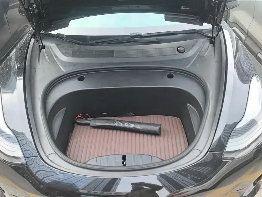 Tesla Model 3 2021 из CN, фото 4