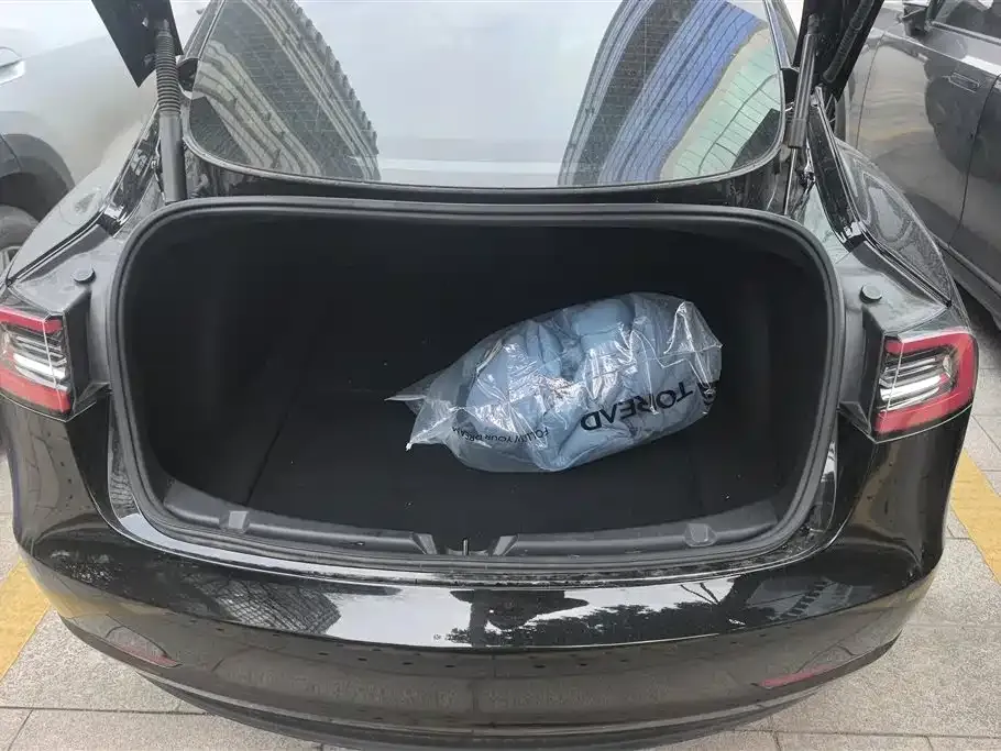 Tesla Model 3 2021 из CN, фото 5