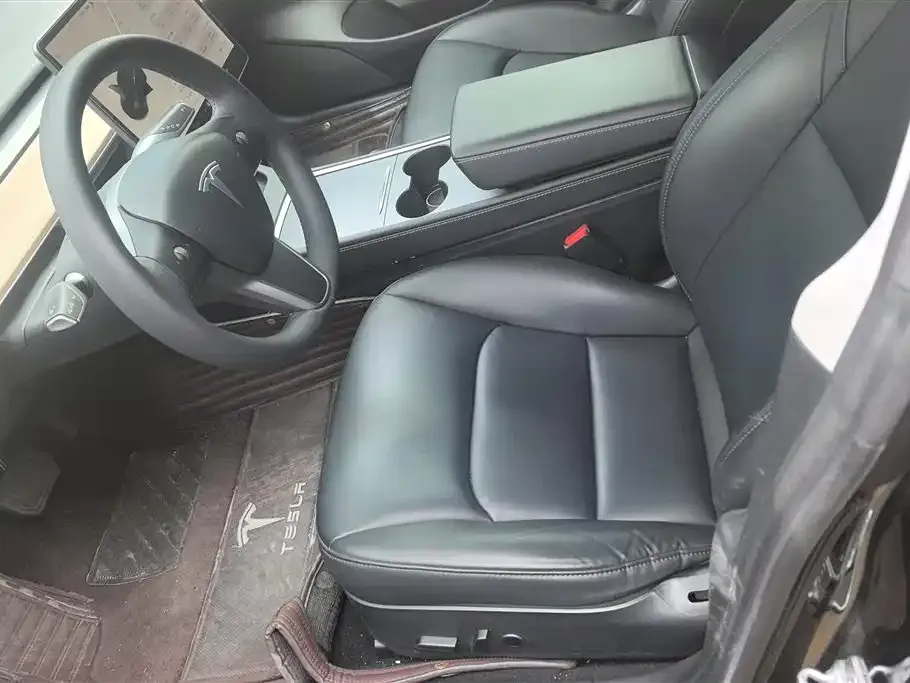 Tesla Model 3 2021 из CN, фото 3