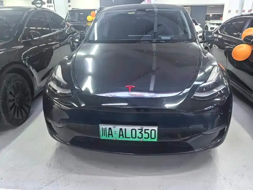 Tesla Model Y — фото 4