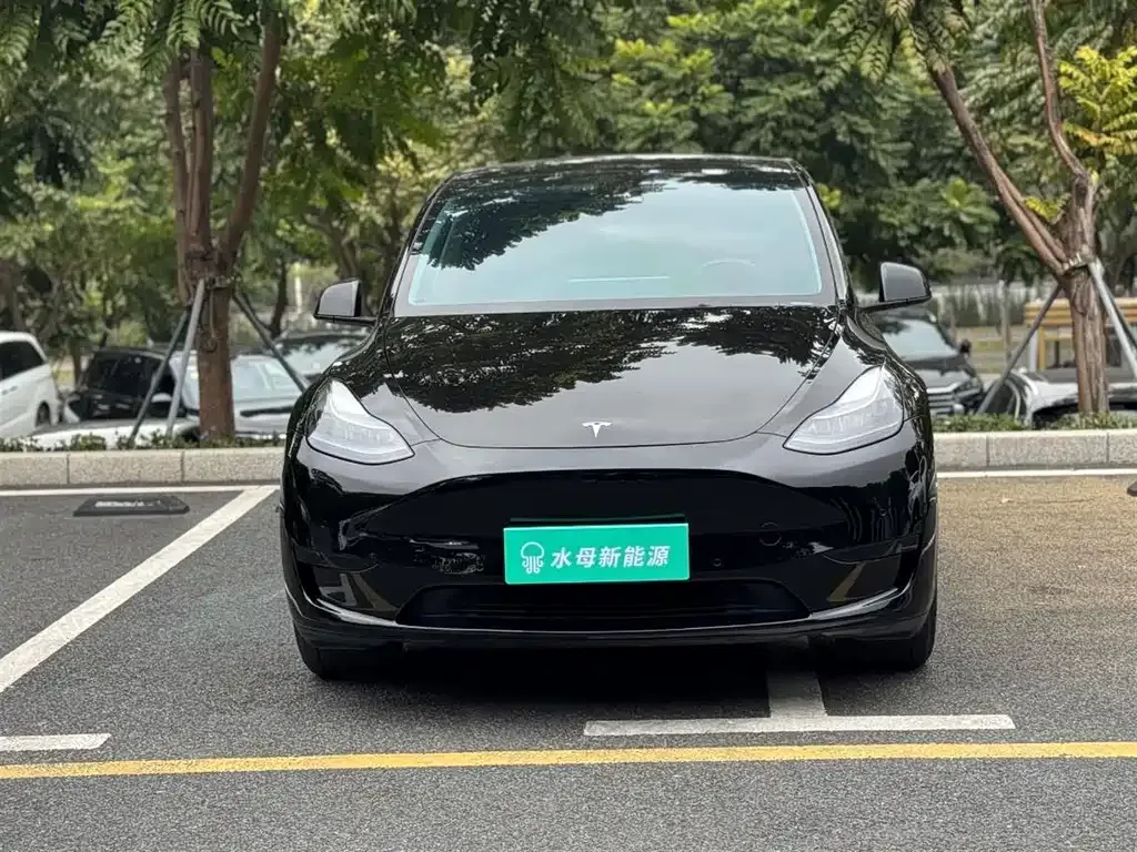 Tesla Model Y 2024 из CN, фото 8