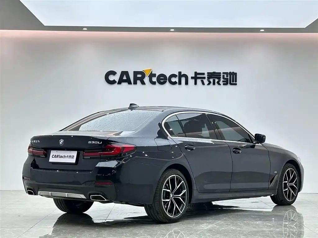 BMW 5 Series 2022 из CN, фото 10
