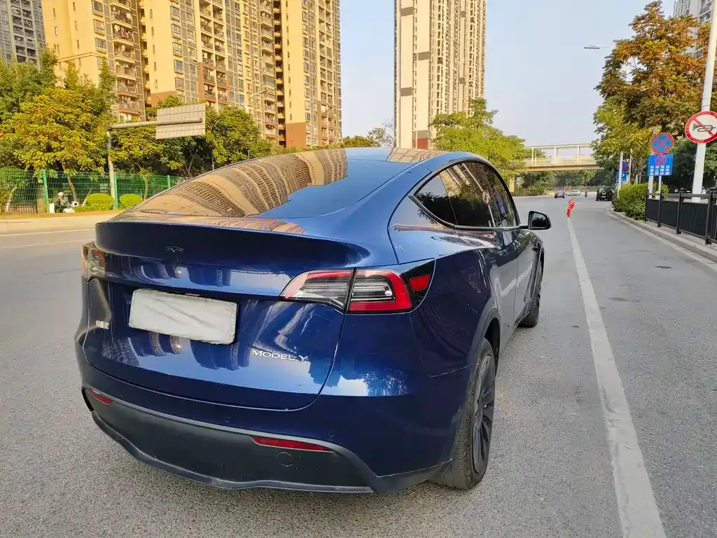 Tesla Model Y 2022 из CN, фото 6