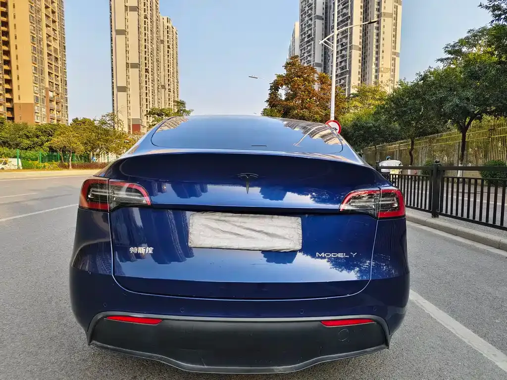 Tesla Model Y 2022 из CN, фото 3