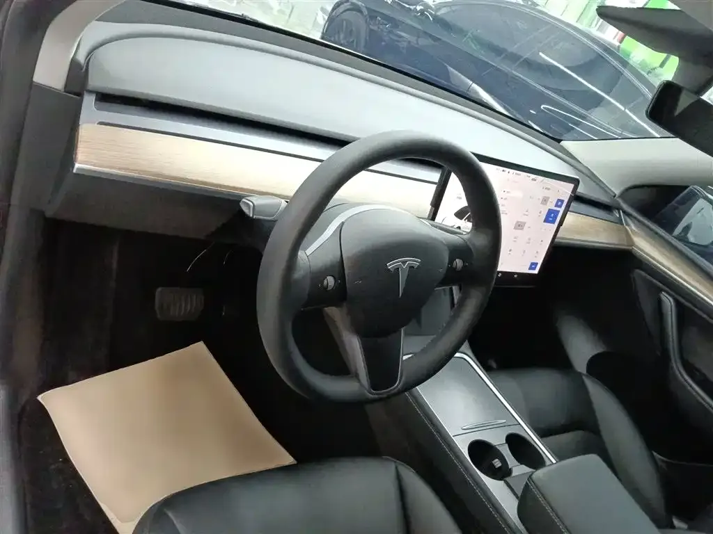 Tesla Model Y 2021 из CN, фото 6