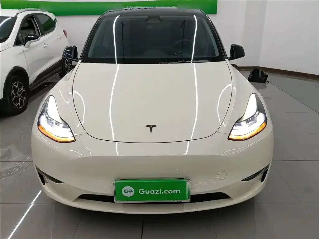Tesla Model Y 2021 из CN, фото 2