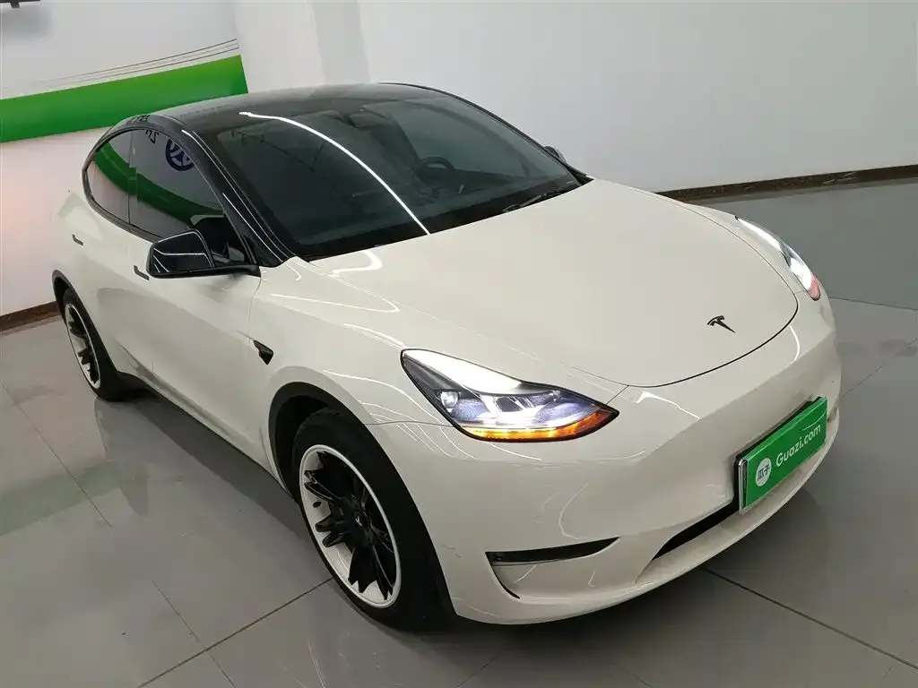 Tesla Model Y 2021 из CN, фото 4