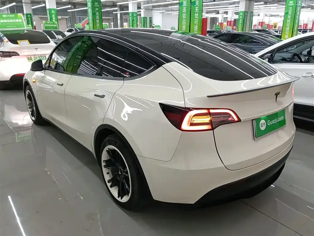 Tesla Model Y 2021 из CN, фото 9