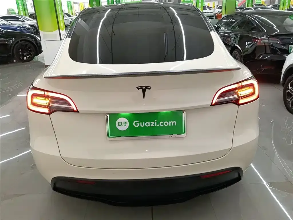 Tesla Model Y 2021 из CN, фото 8