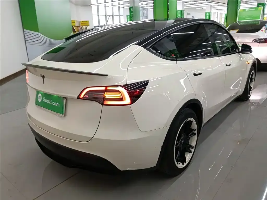 Tesla Model Y 2021 из CN, фото 7