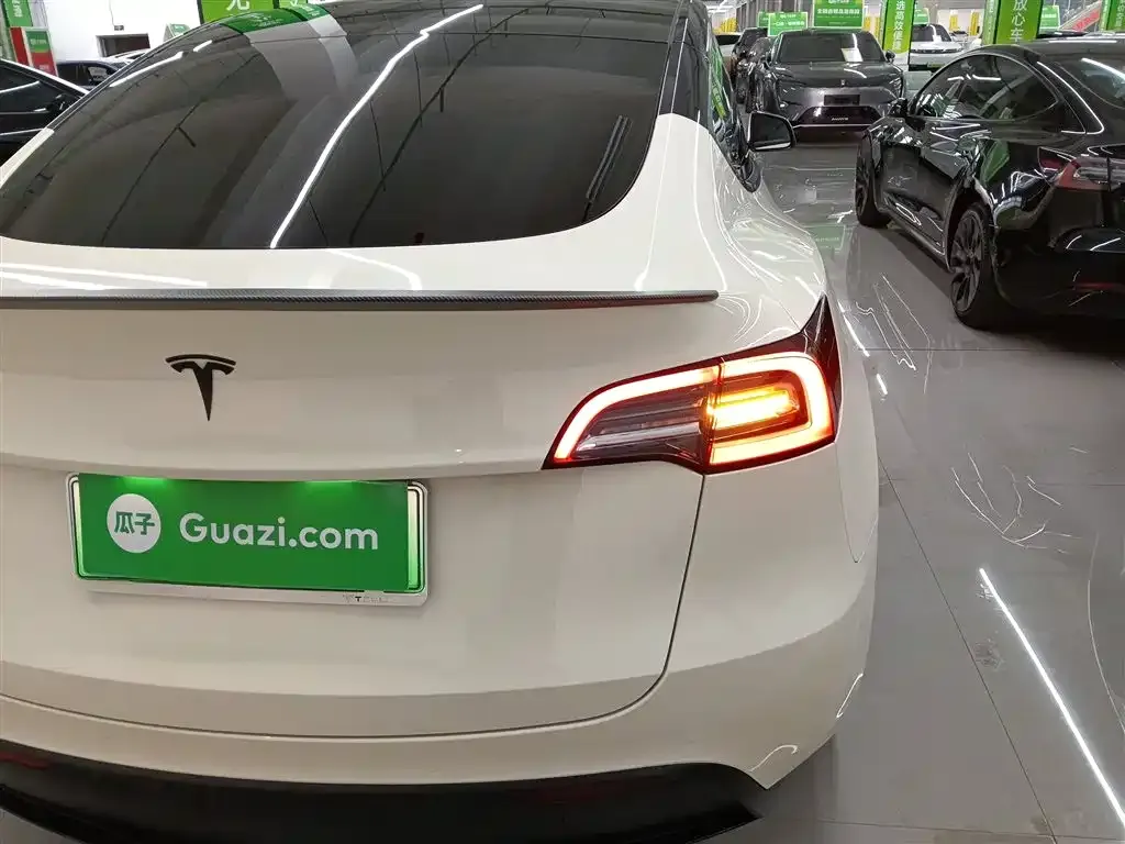 Tesla Model Y 2021 из CN, фото 5