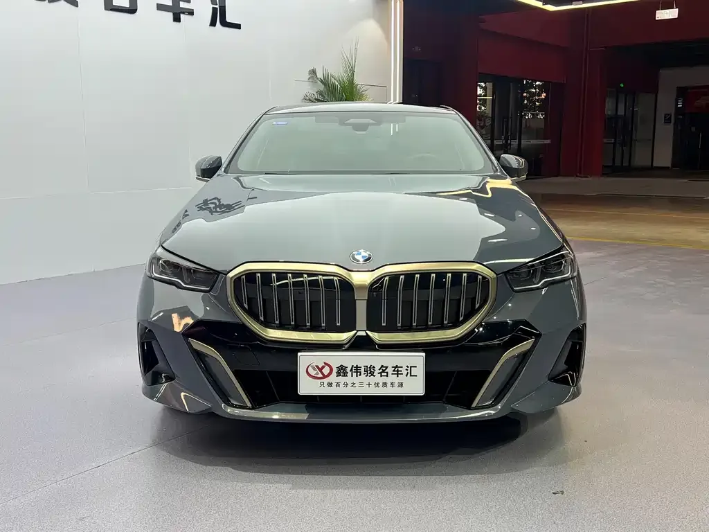 BMW 5 Series 2024 из CN, фото 8