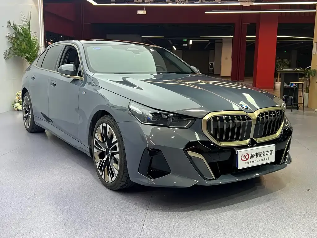 BMW 5 Series 2024 из CN, фото 10