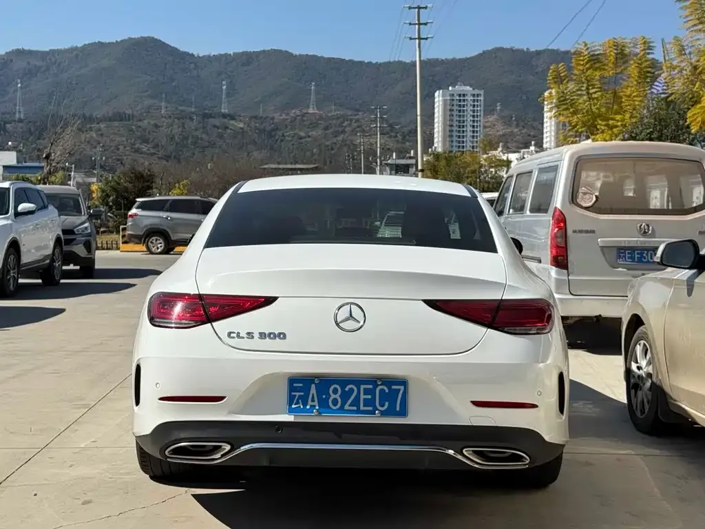 Mercedes-Benz CLS 2021 из CN, фото 4