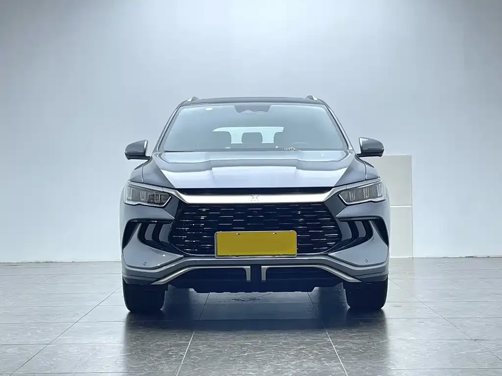 BYD Pro New Energy 2023 из CN, фото 10