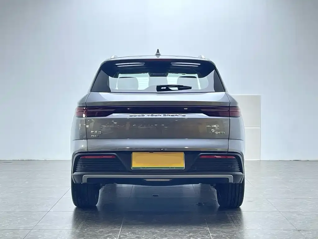 BYD Pro New Energy 2023 из CN, фото 3