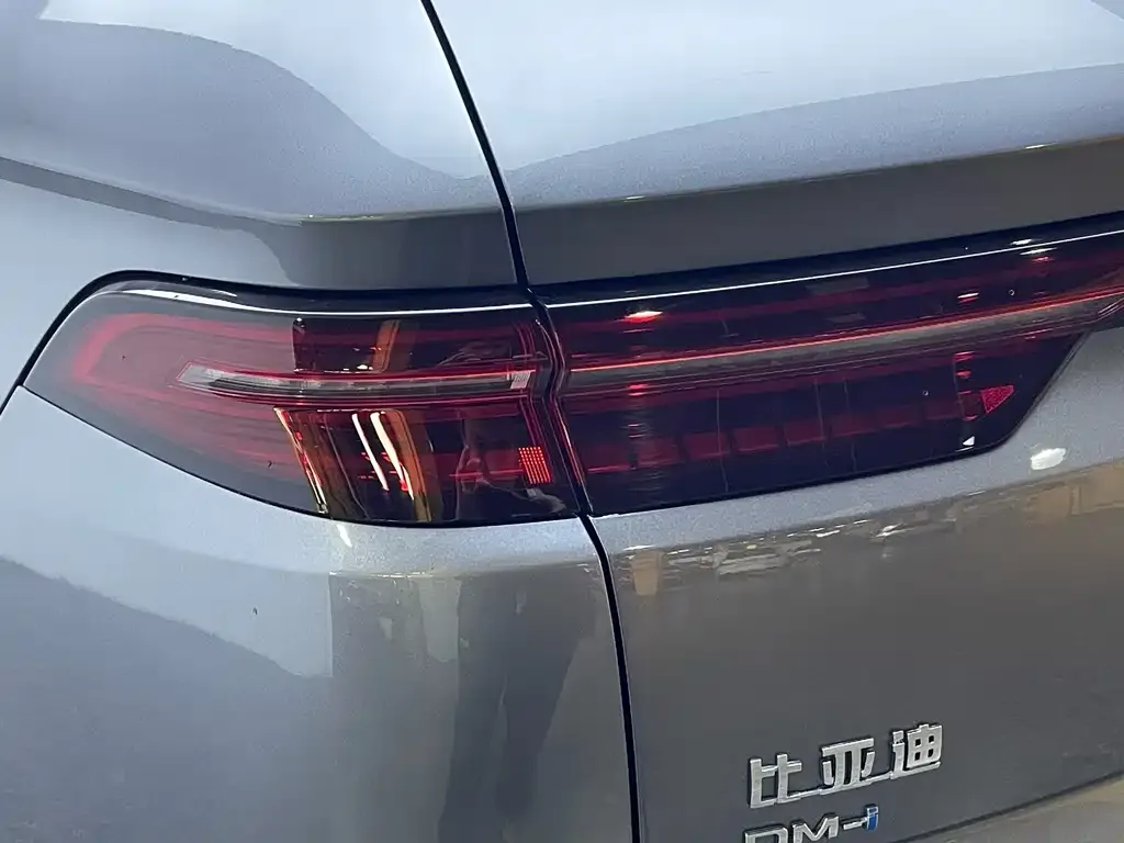 BYD Pro New Energy 2023 из CN, фото 2