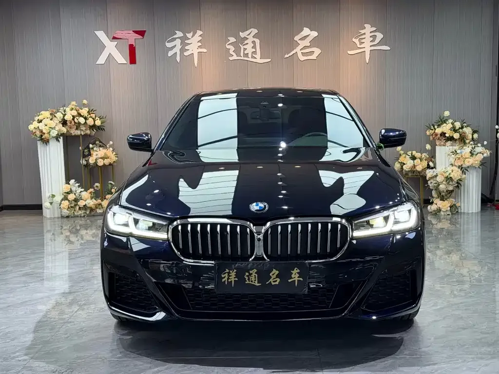 BMW 5 Series 2022 из CN, фото 6