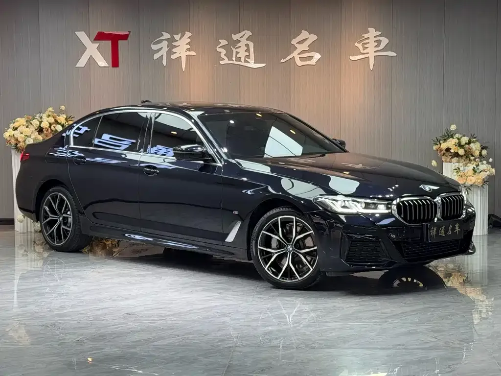 BMW 5 Series 2022 из CN, фото 9
