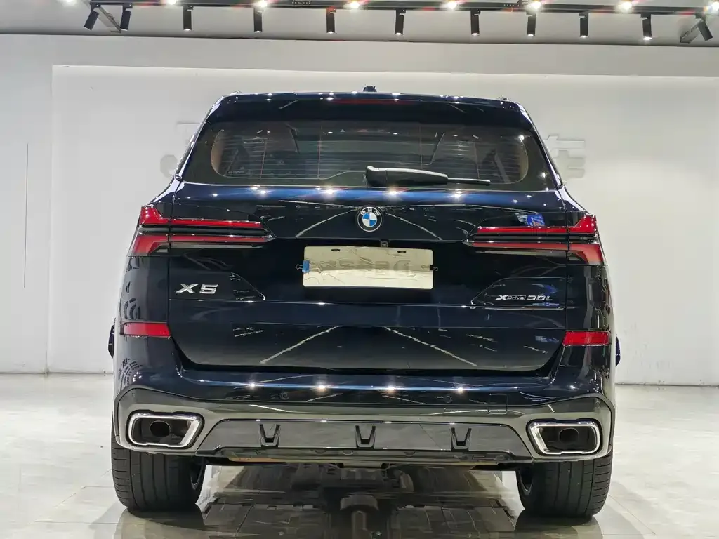 BMW X5 2024 из CN, фото 2