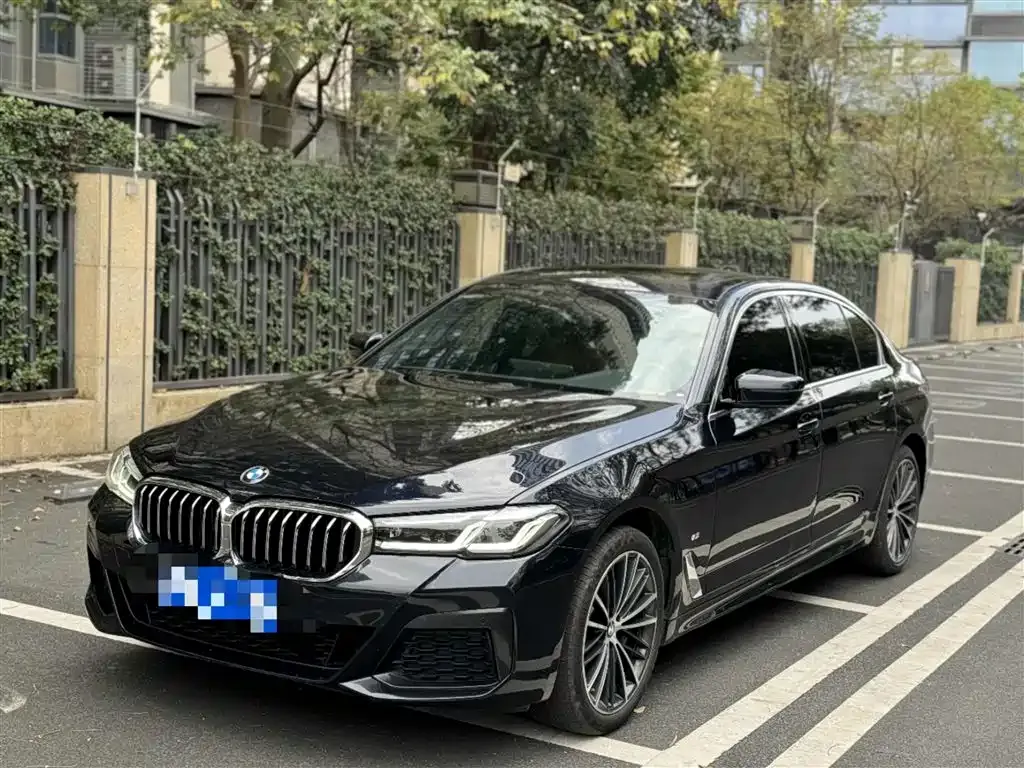 BMW 5 Series 2022 из CN, фото 1