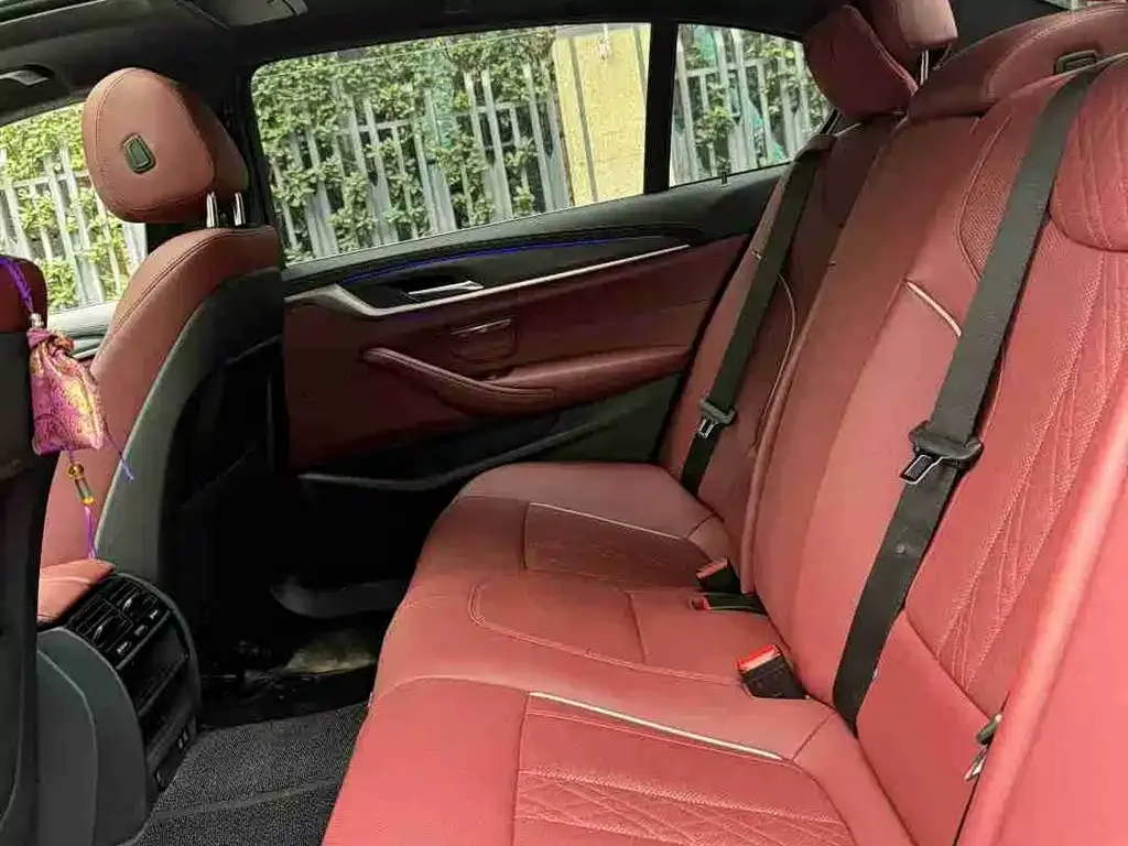 BMW 5 Series 2022 из CN, фото 7