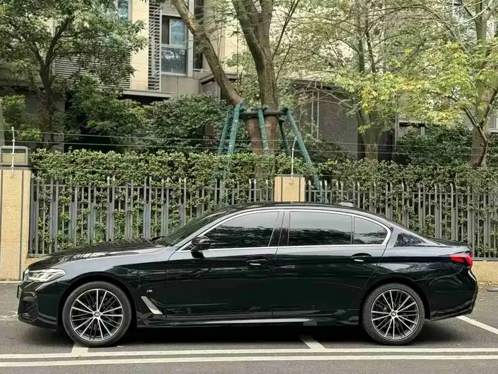 BMW 5 Series 2022 из CN, фото 10