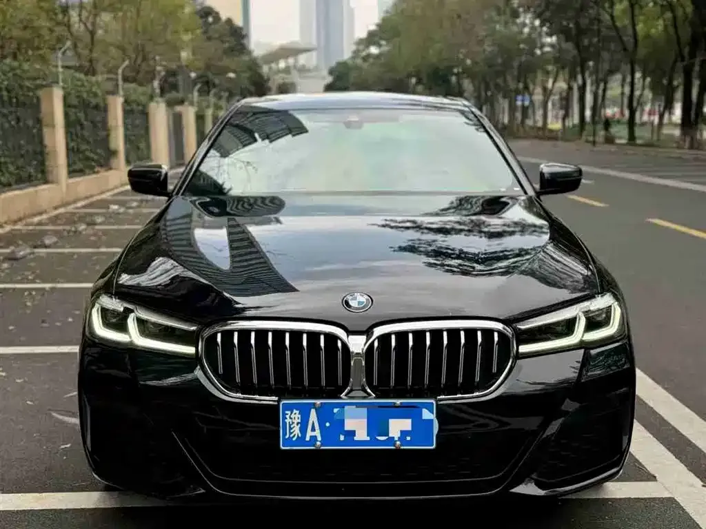 BMW 5 Series 2022 из CN, фото 2