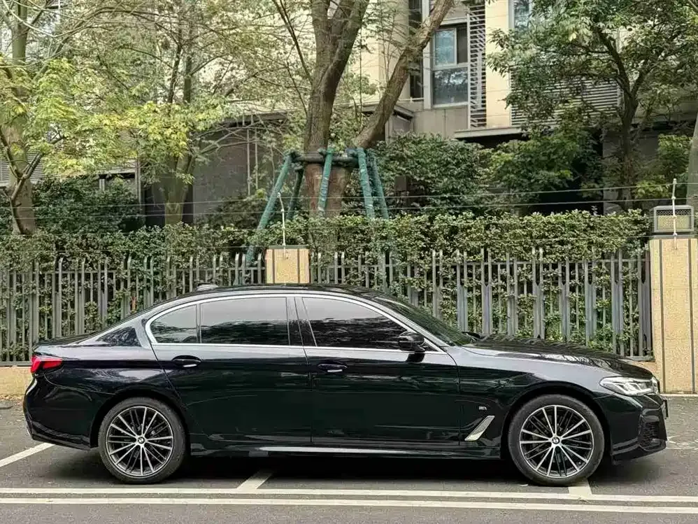 BMW 5 Series 2022 из CN, фото 6
