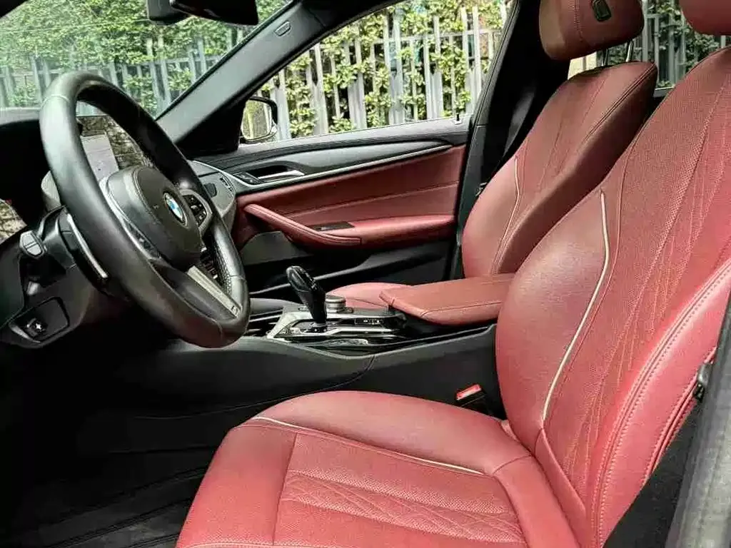 BMW 5 Series 2022 из CN, фото 8