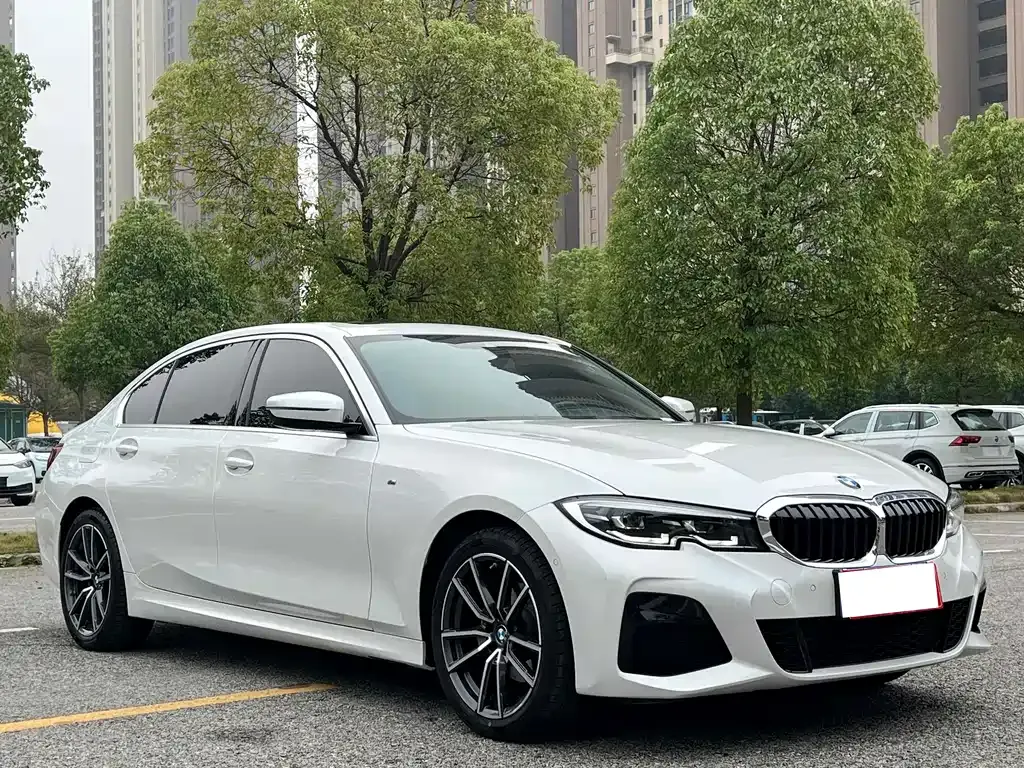 BMW 3 Series 2022 из CN, фото 10