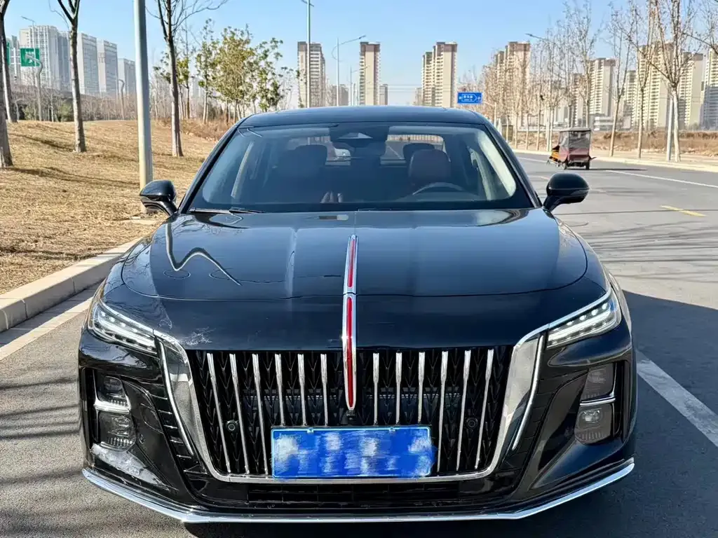 Hongqi H5 2024 из CN, фото 8