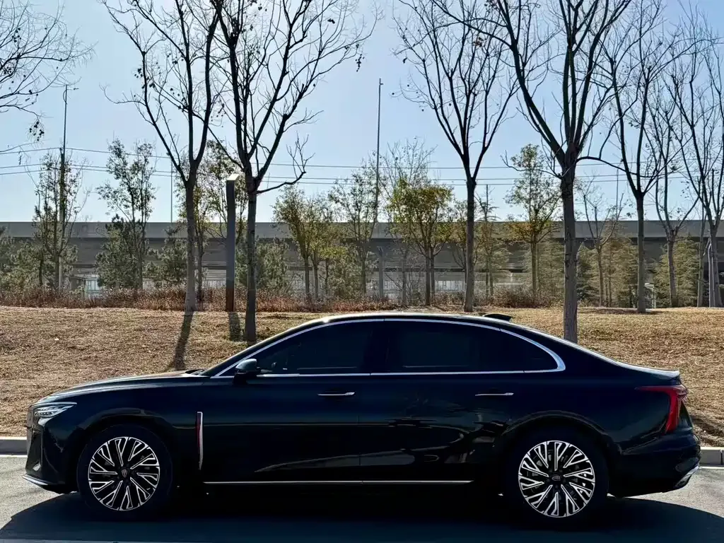 Hongqi H5 2024 из CN, фото 9