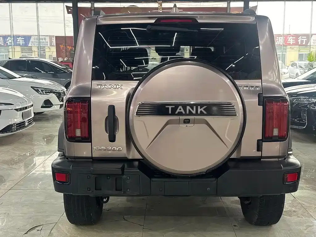 Tank 300 2022 из CN, фото 8