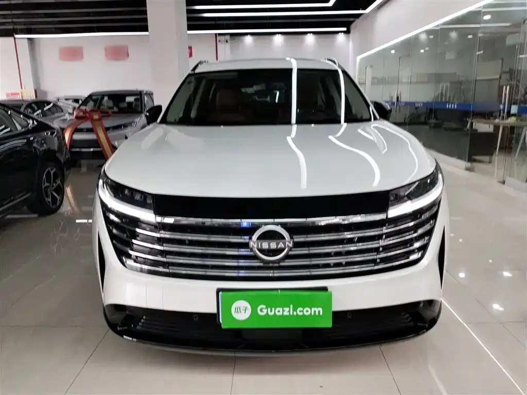 Nissan Teramont 2024 из CN, фото 3