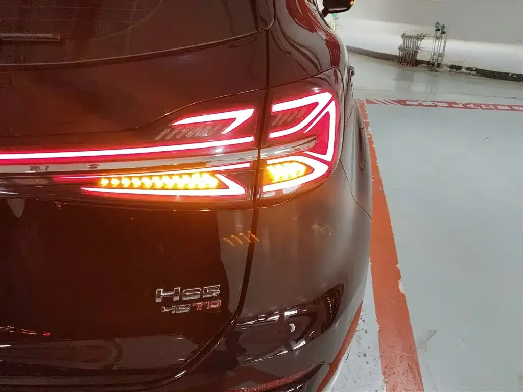 Hongqi HS5 2025 из CN, фото 3