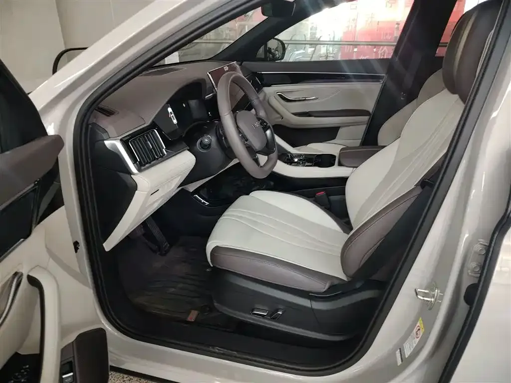 BYD PLUS New Energy 2025 из CN, фото 7